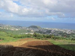 Visite de la petite cousine !